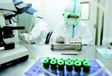 Ebola ruled out from Chinese samples