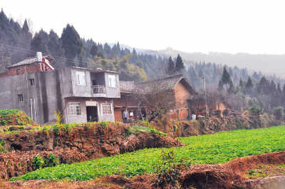 回茶坪村（新春走基層）