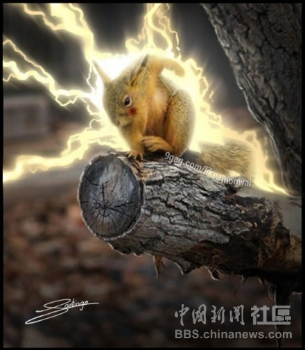 元芳很忙！細數那些一個不小心就火起來的“忙人”