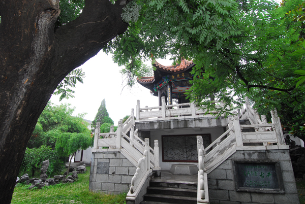 中國(guó)龍，中國(guó)酒 ——古井貢酒“龍文化”品牌基因探秘