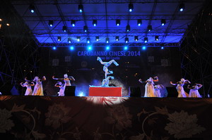 意大利羅馬舉行盛大慶?；顒?dòng) 喜迎農(nóng)歷馬年春節(jié)