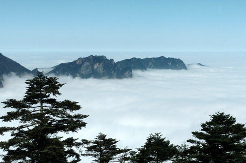 神秘奇絕神農(nóng)架