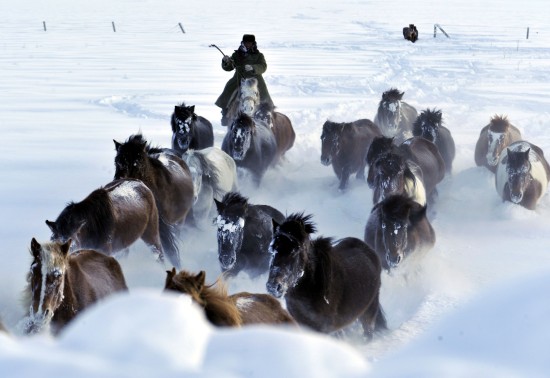 新疆發(fā)生雪災(zāi)5000余人轉(zhuǎn)移1人死亡(組圖)