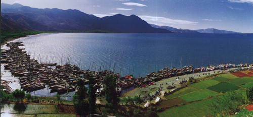 大理洱海：悠悠“杜鵑”情