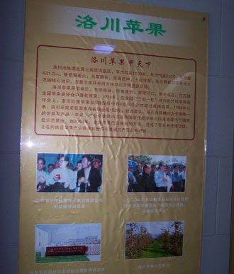 網(wǎng)絡(luò)媒體陜西行走訪蘋(píng)果之鄉(xiāng)洛川