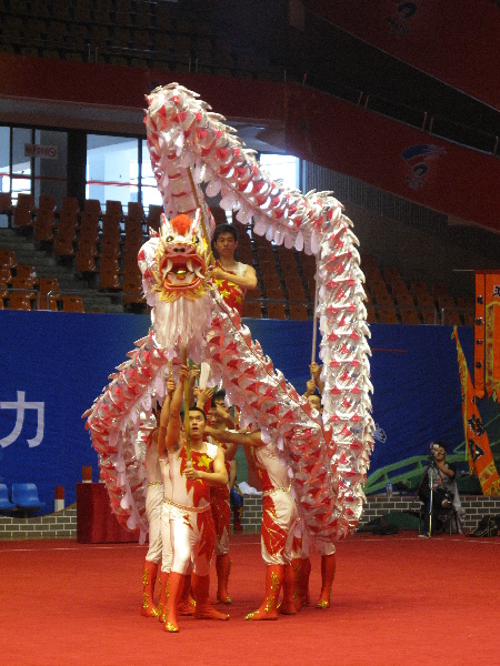 四體會(huì)舞龍比賽 英姿颯爽顯龍威-廣東失利 江蘇奪魁