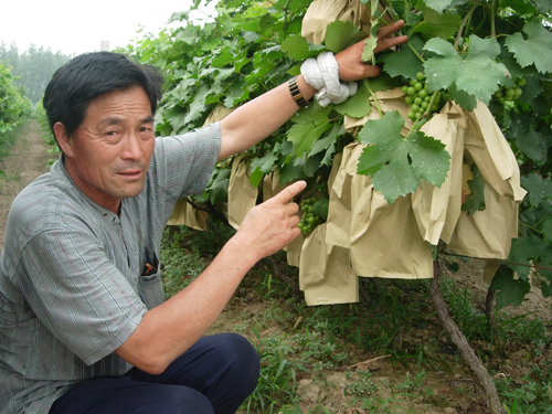 河南永城一村支書帶領(lǐng)村民大干七年走上富裕路