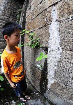 天心閣城墻現(xiàn)“白斑”