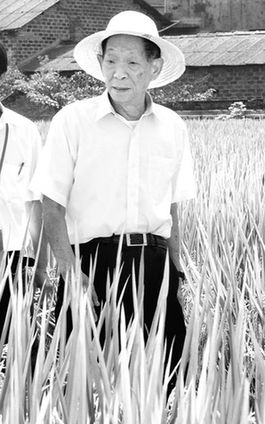 袁隆平:90歲時實(shí)現(xiàn)畝產(chǎn)1000公斤