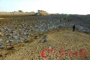 羅布泊最大規(guī)?？瓶冀Y(jié)束 發(fā)現(xiàn)大面積農(nóng)耕遺跡