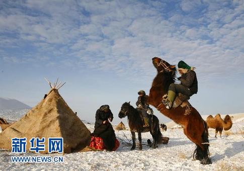 新疆阿勒泰百萬牲畜大轉(zhuǎn)場(chǎng)