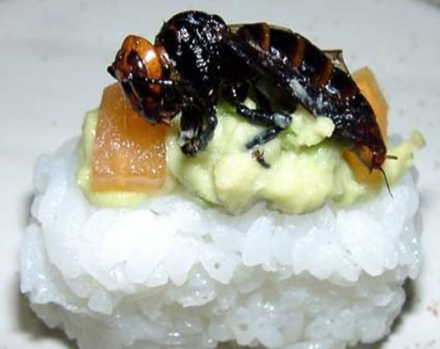 重口味:昆蟲壽司你敢吃嗎?