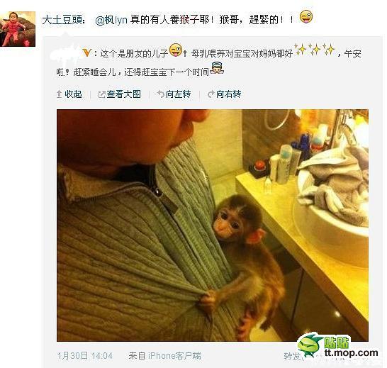 能買猴子當(dāng)寵物 人類已經(jīng)無(wú)法阻止網(wǎng)購(gòu)了