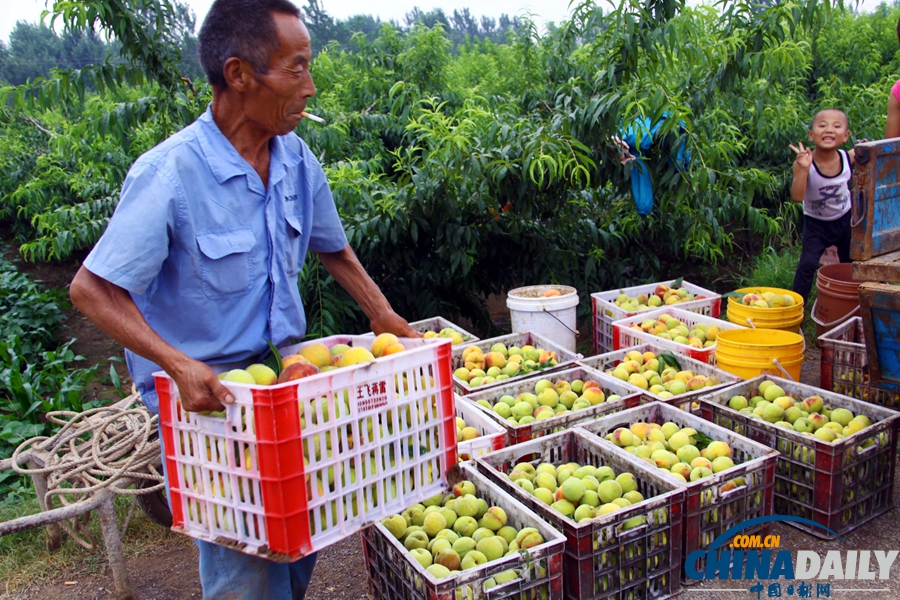 國家統(tǒng)計(jì)局：上半年GDP同比增長7.6%