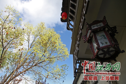 全國(guó)網(wǎng)媒記者探尋婺源嚴(yán)田千年古樟 觀(guān)看儺舞秀