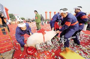 新年將至 活土豬一頭跌了幾百元 今年你去殺年豬嗎？