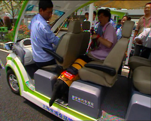 世博趣聞:3歲導(dǎo)盲犬帶主人游世博園(組圖)