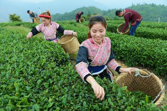福州：治理畜養(yǎng)污染 發(fā)展生態(tài)農(nóng)業(yè)