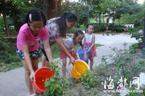 福州市民響應(yīng)“一桶水”行動 千人接力護(hù)綠