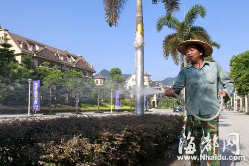 福州市民響應(yīng)“一桶水”行動 千人接力護(hù)綠
