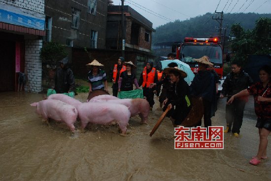 “天兔”發(fā)威多地被淹 消防員臉盆當船救出嬰兒