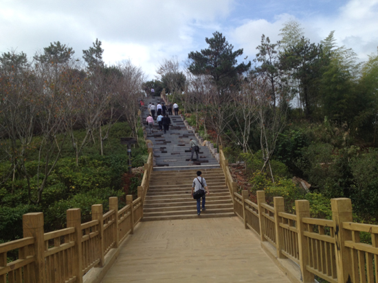 漳平臺灣農(nóng)民創(chuàng)業(yè)園:臺緣山莊旅游綜合體啟動(dòng)