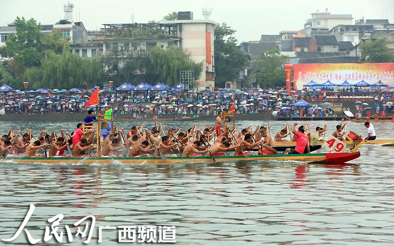 高清組圖：廣西融安“群龍競(jìng)渡鬧融江”