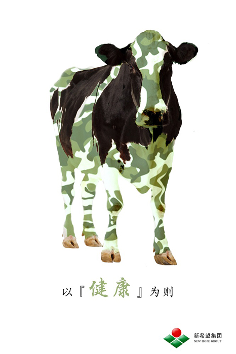 “天鶴獎”“陽光杯”兩賽聚海南 創(chuàng)意設(shè)計百花齊放