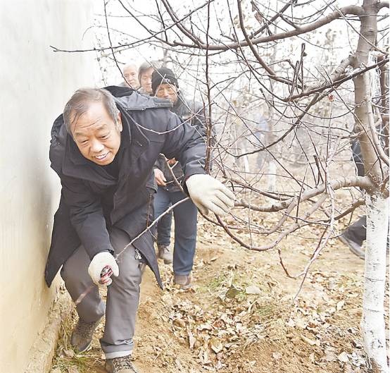 一個(gè)“農(nóng)民教授”，為何感動(dòng)了百萬(wàn)河北人
