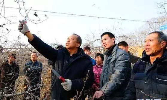 一個“農(nóng)民教授”，為何感動了百萬河北人
