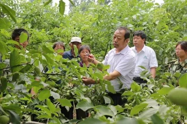 一個“農(nóng)民教授”，為何感動了百萬河北人