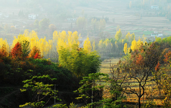 河南固始西九華山冬景如畫(huà) （組圖）