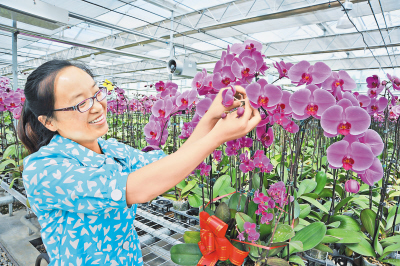 觀光農(nóng)業(yè)如火如荼