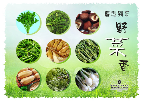清新菊花茶、幽幽野菜香盡在哈爾濱香格里拉大酒店