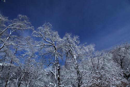 強(qiáng)冷空氣致神農(nóng)架驟降“桃花雪”