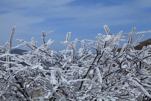強冷空氣致神農(nóng)架驟降“桃花雪”
