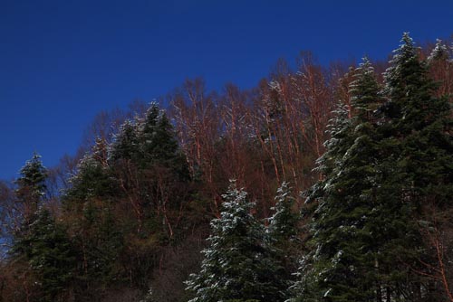 強冷空氣致神農(nóng)架驟降“桃花雪”