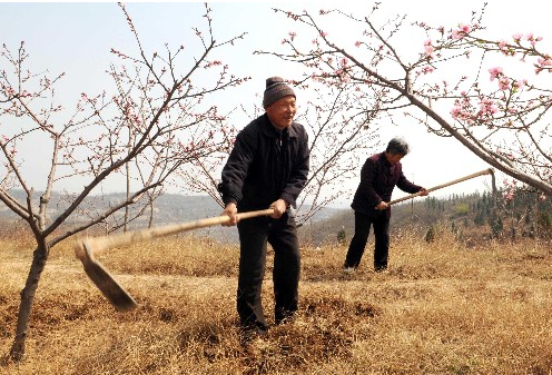 震撼人心的堅(jiān)守：盲老漢10年綠化荒山