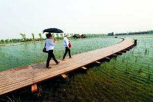 北京園博園揭開神秘面紗 試運(yùn)營(yíng)每日迎2萬游客