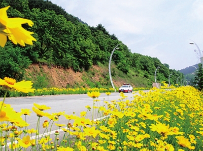 集安境內(nèi)集錫公路兩側(cè)風景亮麗