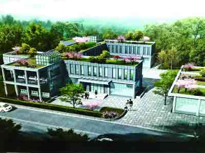 中山陵園管理局園區(qū)內(nèi)違規(guī)建樓 昨承認(rèn)暫無手續(xù)