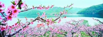 丹東外貿(mào)出口躍居全省第四