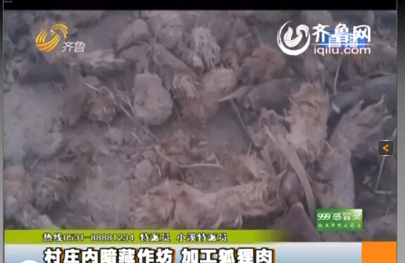 臨沂：村莊內(nèi)暗藏小作坊 日加工死狐貍?cè)馍习賴?/></p>

<p><strong>臨沂</strong>齊魯網(wǎng)<strong>11月13日訊</strong>同樣的一袋肉，在這家超市是羊肉，到了另一家超市變成了驢肉，再換一家超市又成了狗肉，然而這是一袋最不應(yīng)該出現(xiàn)在消費(fèi)者餐桌上的肉，為了消費(fèi)者的食品安全，記者冒著風(fēng)險連續(xù)三天的暗訪，究竟是什么肉呢？</p>

<p>據(jù)山東廣播電視臺齊魯頻道《小溪辦事》欄目報道，這是臨沂河?xùn)|區(qū)鳳凰嶺街道的潘家湖村，一進(jìn)村記者就聞到了引人做嘔的腥臭味，爆料人稱這是村里人加工肉的味道，而且全村每家每戶都參與加工肉的工作，這也成為全村人的主要經(jīng)濟(jì)來源。“這是暴利，一天掙大（近）萬多塊錢，這不暴利嗎？這味太大了，我在里面聞不了。”</p>

<p>記者在看到村里的街道上到處都是動的肝臟和爪子，街道上每隔十幾米就有一個加工肉的作坊，報料人稱加工肉的作坊沒有任何手續(xù)，而他們加工的究竟是什么肉呢？</p>

<p>爆料人拿著起一袋肉稱：“這就是他們當(dāng)狗肉賣的狐貍凍！肉凍是用水和膠勾兌的，再把肉摻在一起?！边@包裝的“農(nóng)家風(fēng)味”，竟然是狐貍?cè)狻Ｓ浾卟榭赐獍b，沒任何的生產(chǎn)廠家、生產(chǎn)日期和保質(zhì)期，更沒有任何國家食用標(biāo)準(zhǔn)的三無產(chǎn)品，而爆料人稱這些三無產(chǎn)品非常暢銷，“山東德州、內(nèi)蒙古、南方一帶江蘇銷量比較大”。</p>

<p>記者從爆料人那里了解到，這狐貍?cè)猱a(chǎn)品可不止狐貍凍這一種，而是五花八門什么肉都有，利潤非?？捎^。“油什么的、肝什么的都賣了，沒有扔的，還有狐貍骨頭架子，這些東西都賣了，沒有剩下的東西，當(dāng)成狗肉、牛肉、羊肉這些肉賣了，以次充好！”爆料人還稱：“他們的利潤空間非常大，一個冬天大約能賺好十幾萬?！?/p>
</p>
</div>
</div>

<div   class=