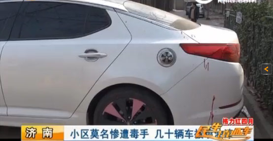 濟南一小區(qū)幾十輛車慘遭毒手 被“神秘人”噴上油漆