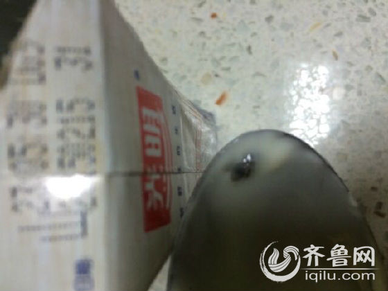濟(jì)南市民光明莫斯利安酸奶喝出蒼蠅 售后：愿賠200元