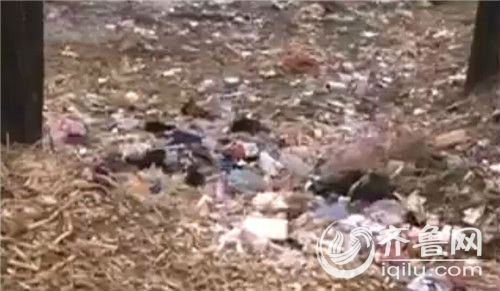 濱州官道高村衛(wèi)生惡劣 垃圾堆滿水塘道路泥濘難行