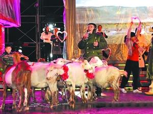 陳光標(biāo)貴州演唱會捐豬羊 稱慈善能引非議是好事