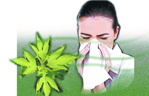 哪些外來生物已經(jīng)入侵北京？