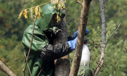 武漢規(guī)定電動(dòng)車摩托車只可帶小孩 帶老婆罰50