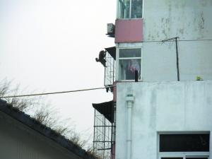 潑皮猴子北京黃村鬧翻天 一見(jiàn)迷彩服就跑